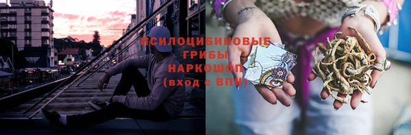 амф Кодинск