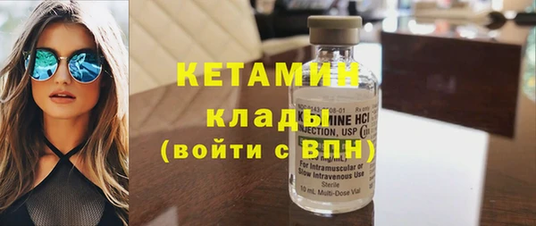 индика Щигры