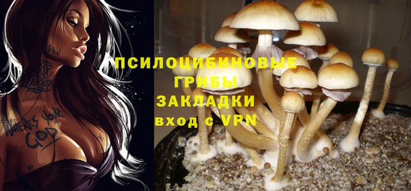 ALPHA PVP Козельск