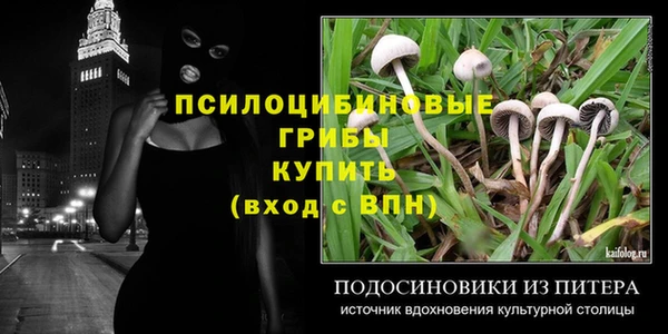 ALPHA PVP Козельск