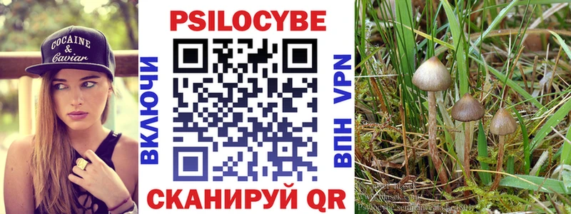kraken рабочий сайт  Тобольск  Псилоцибиновые грибы мицелий 