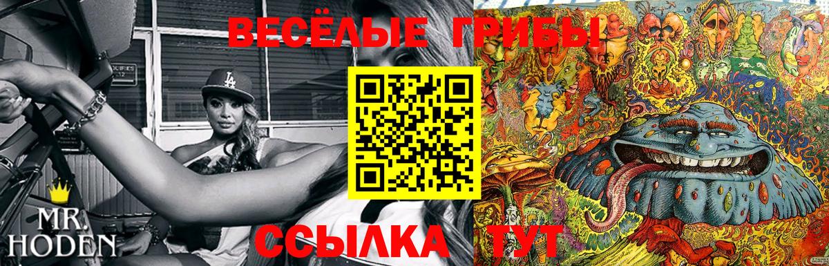 Галлюциногенные грибы ЛСД Тобольск