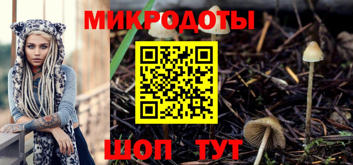 Галлюциногенные грибы Cubensis  Псилоцибиновые грибы Psilocybine cubensis  что такое   Тобольск  Вход с VPN 
